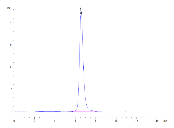 Human SEZ6L2 Protein (SEZ-HM1L2)