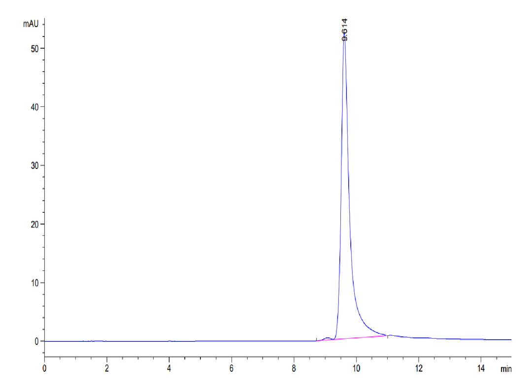 Human FGF-7/KGF Protein (KGF-HE101)