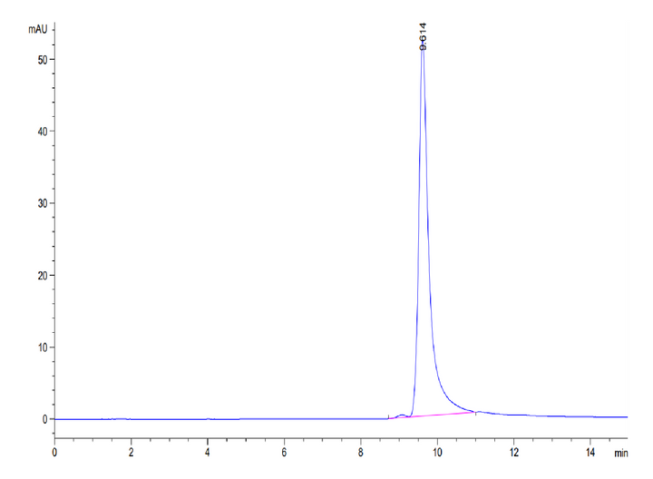 Human FGF-7/KGF Protein (KGF-HE101)