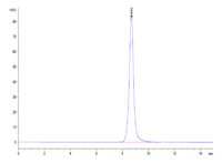 Mouse DDR1 Protein (DDR-MM1R1)