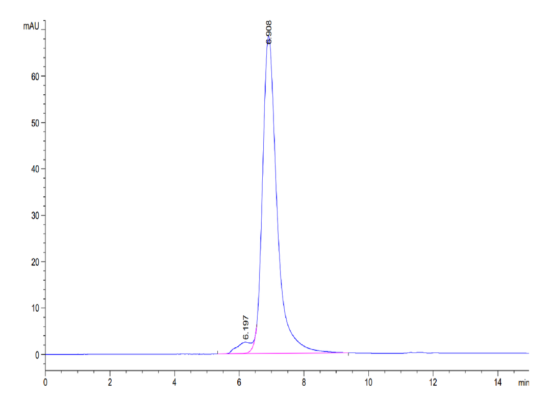 Mouse L1CAM Protein (LAM-MM101)