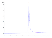 SEC-HPLC chromatogram showing purity profile of recombinant protein with peak retention time at 8.073 minutes.