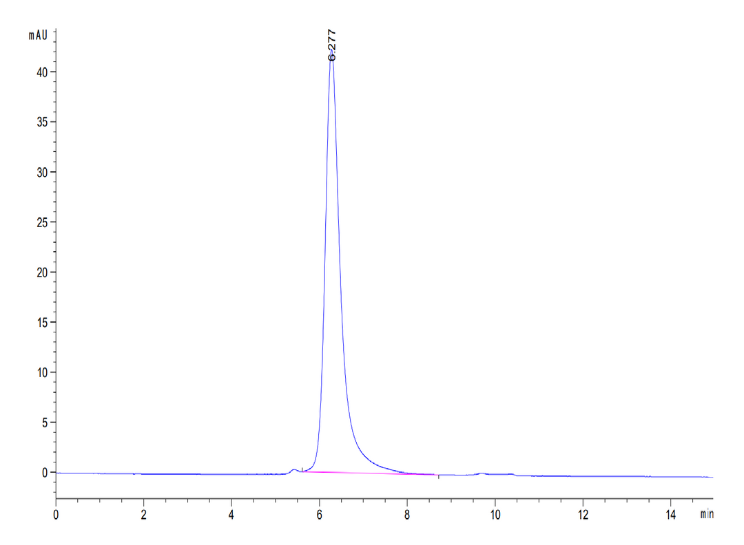 Canine ROR1 Protein (ROR-DM101)