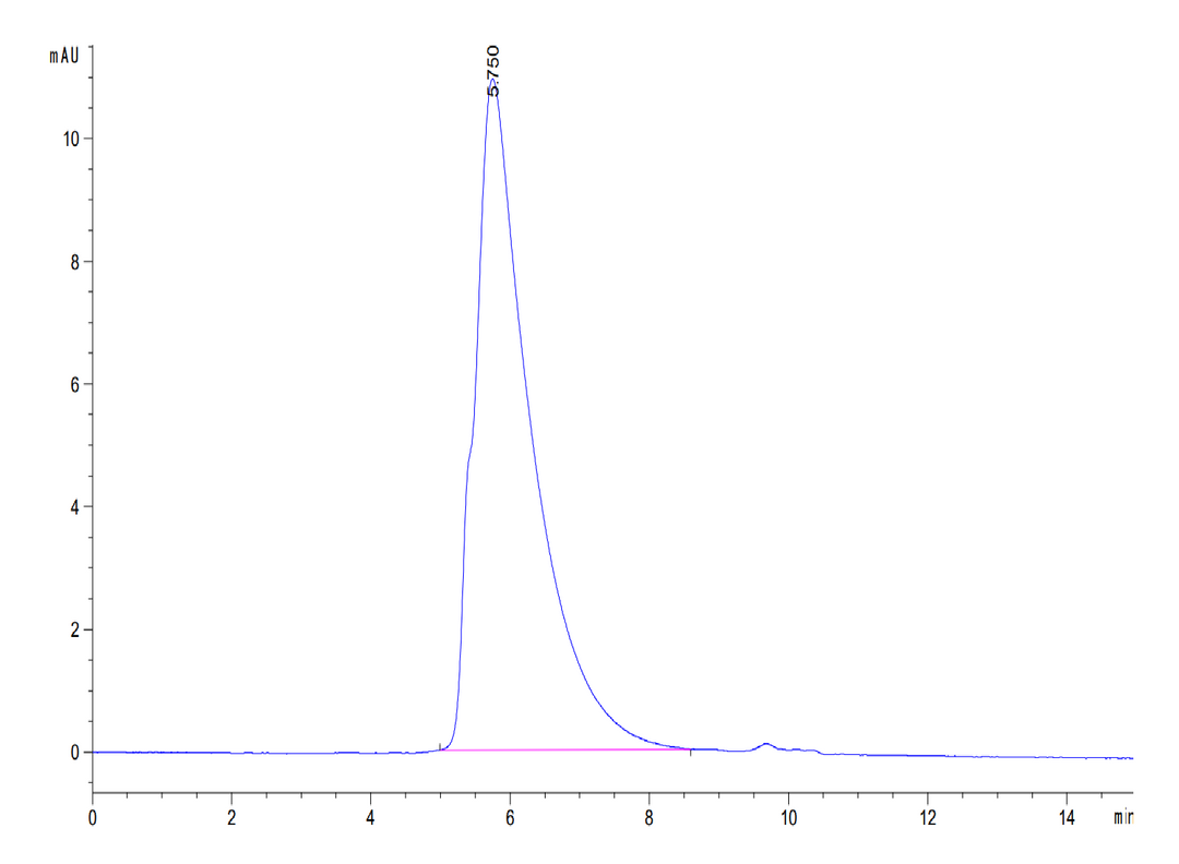 Human FcRH6 /FCRL6 Protein (FCR-HM206)