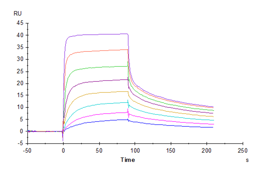 Human FcRn Protein (FRN-HM101)