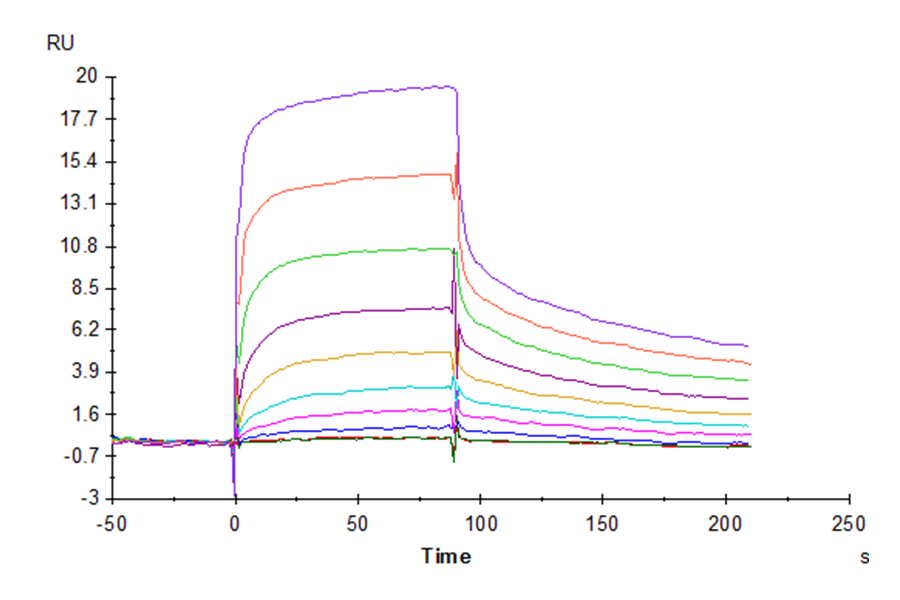 Human IgG4 Fc Protein (IGG-HM004)