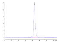 Human ENPP-3 (558-875) Protein (ENP-HM406)