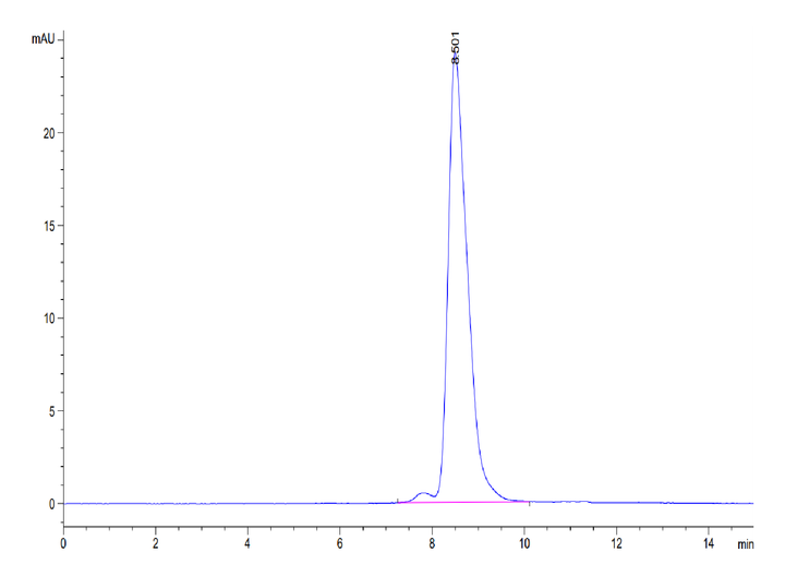 Human ENPP-3 (558-875) Protein (ENP-HM406)