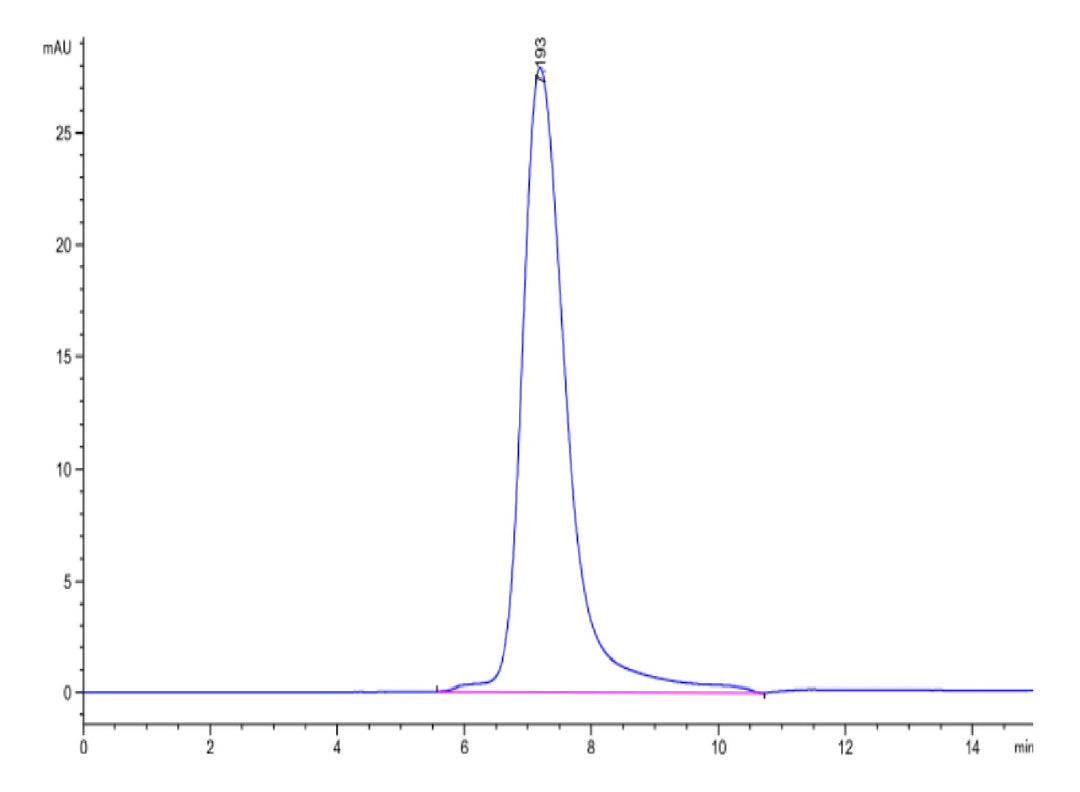 Human LILRB5/CD85c/LIR-8 Protein (LIL-HM4B5)