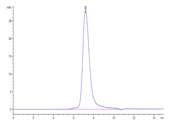 Human LILRB5/CD85c/LIR-8 Protein (LIL-HM4B5)