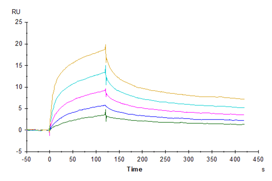 Human GITR Ligand/TNFSF18 Trimer Protein (FSF-HM218)