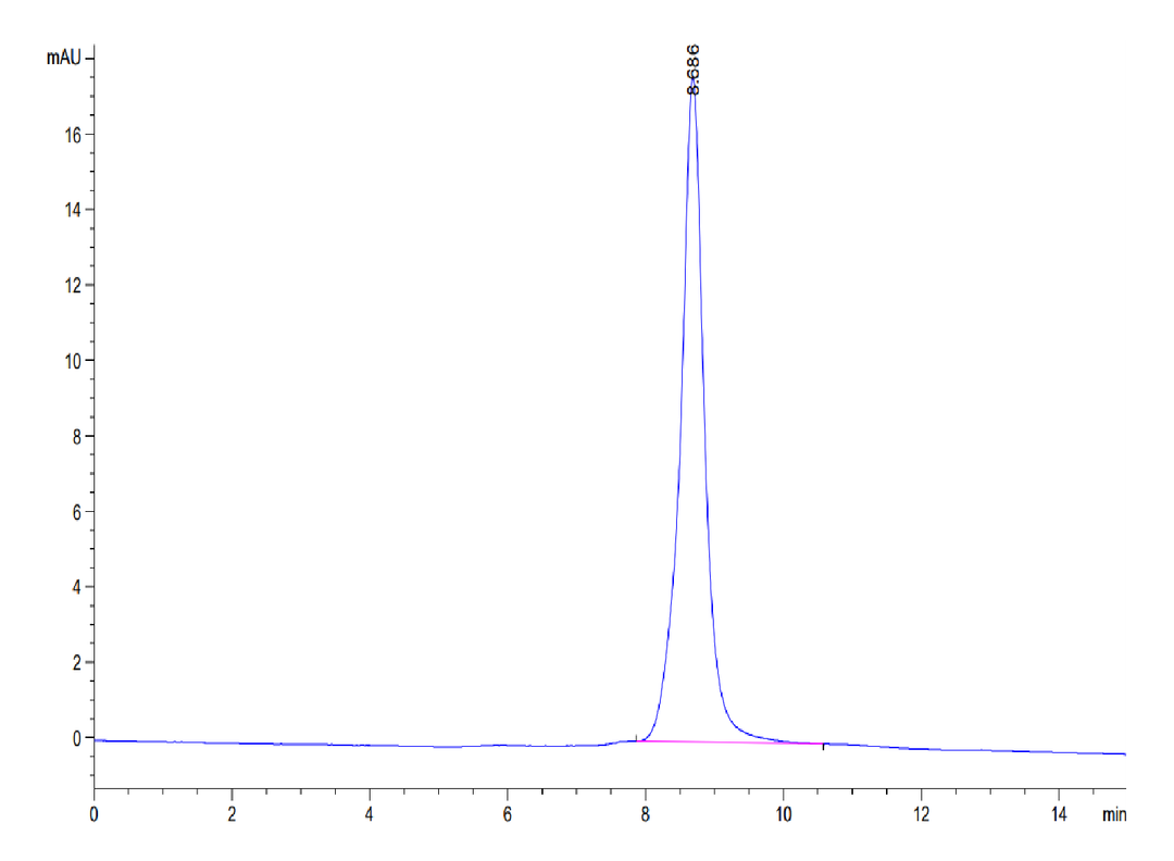 Human HMGB1 Protein (HMG-HM1B1)