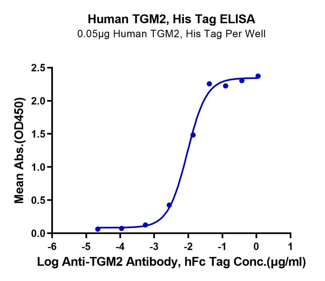 Human TGM2 Protein (TGM-HE102)