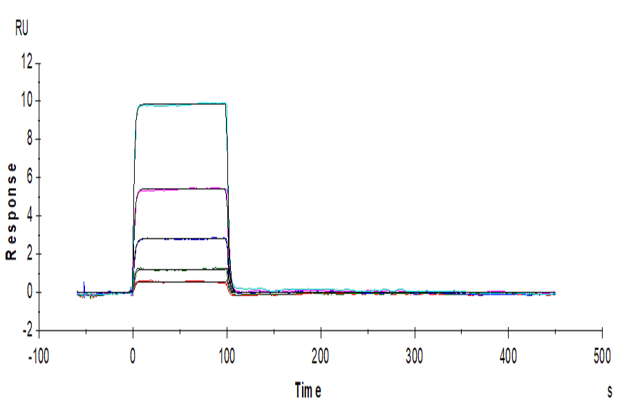 Human TIGIT Protein (TIG-HM110)