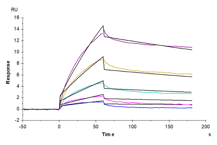 Cynomolgus Serum Albumin Protein (BSA-CM101)