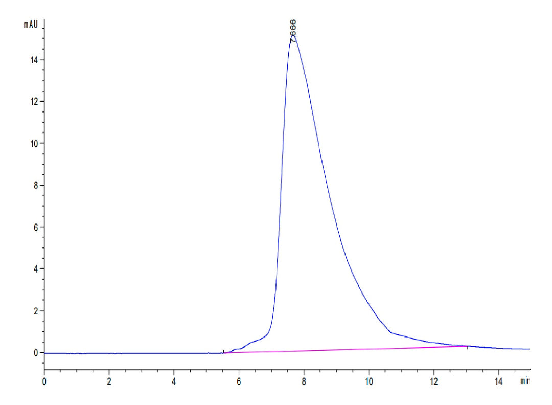 Human CD94 Protein (CD9-HM404)