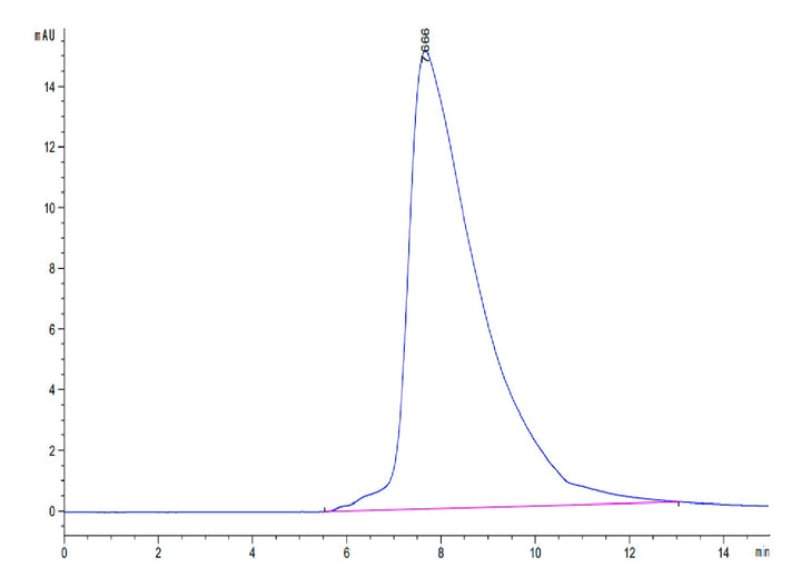 Human CD94 Protein (CD9-HM404)