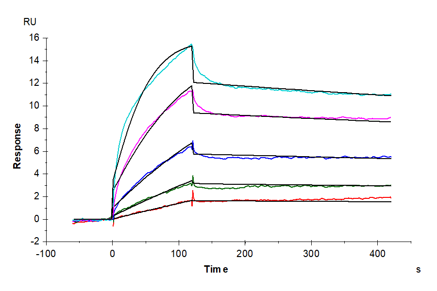 Human EGF Protein (EGF-HE001)