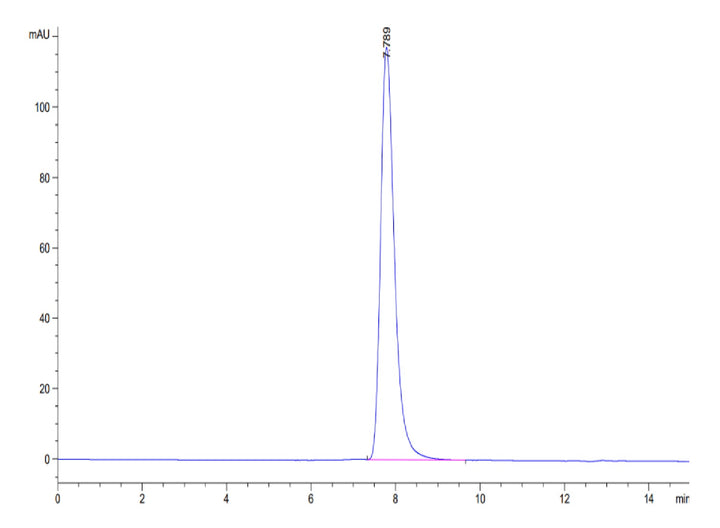 Human HLA-A*03:01&B2M&KRAS WT (VVVGAGGVGK) Tetramer Protein (MHC-HM423T)