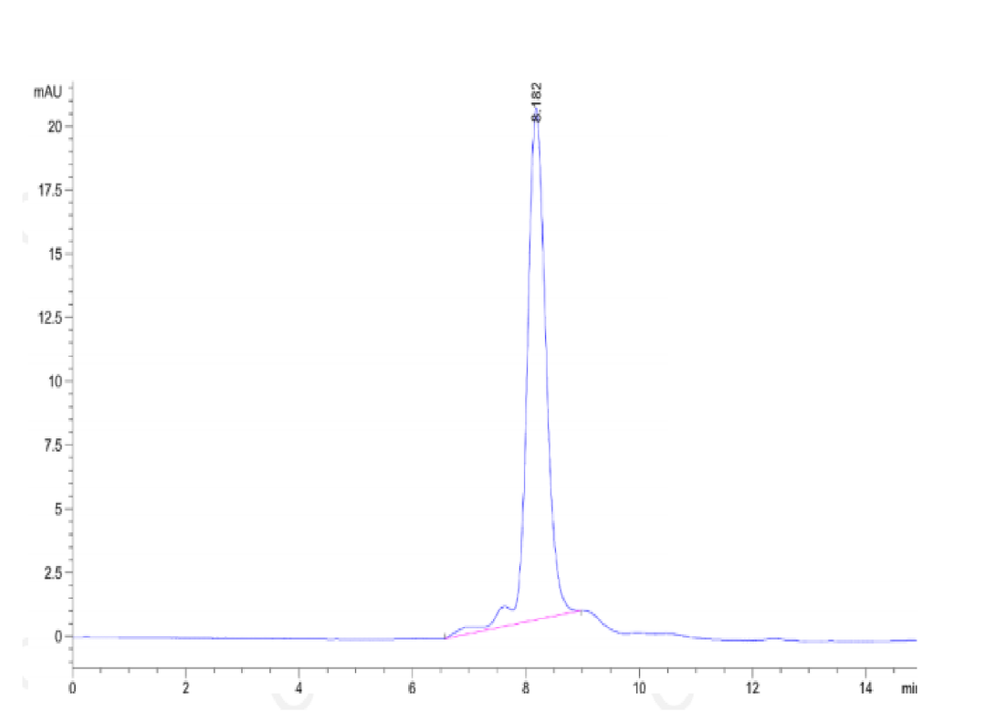 Human Integrin alpha 2B beta 3 (ITGA2B&ITGB3) Heterodimer Protein (ITG-HM12B)