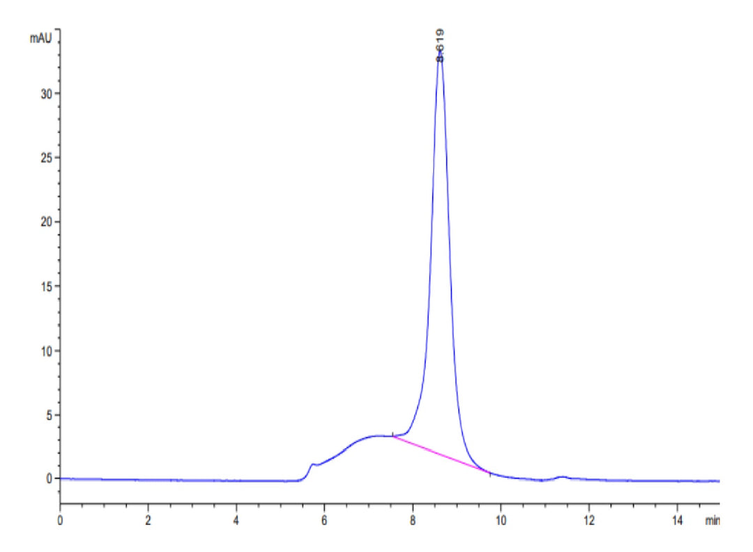 Mouse IL-1R1 Protein (IL1-MM1R1)