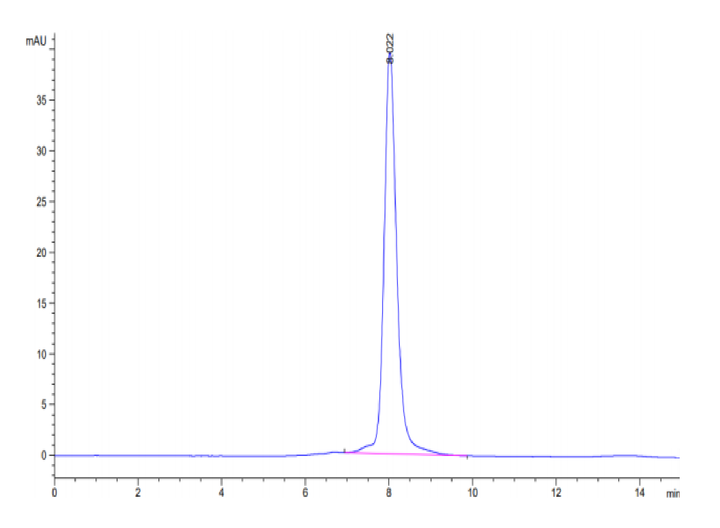 Mouse ROR1 Protein (ROR-MM101)