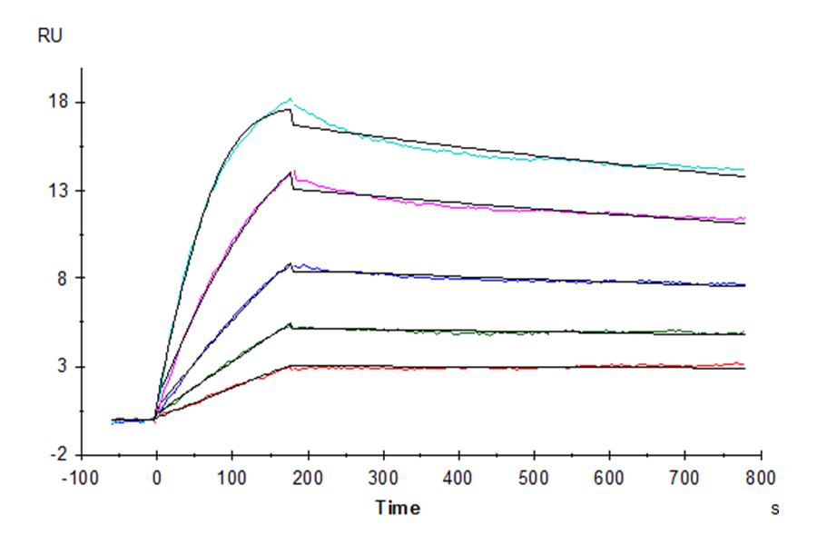 Human IL-15 Protein (IL5-HE015)