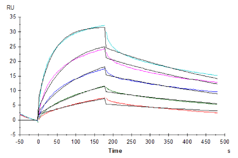 Biotinylated Human Claudin 18.2 Protein-VLP (CLD-HE1822B)