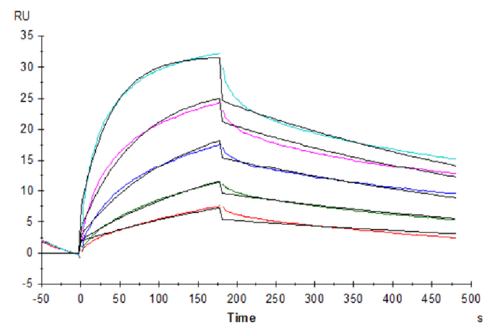 Biotinylated Human Claudin 18.2 Protein-VLP (CLD-HE1822B)