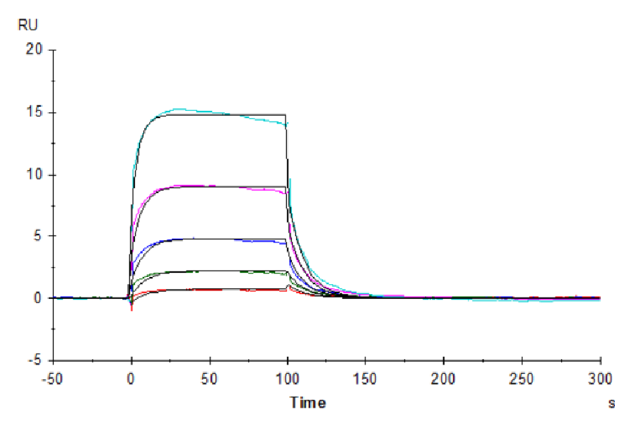 Human Fc gamma RIIIA/CD16a (F176) Protein (CDA-HM416)