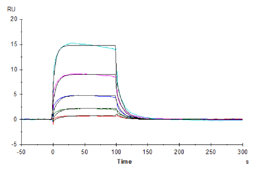 Biotinylated Human Fc gamma RIIIA/CD16a (F176) Protein (CDA-HM416B)