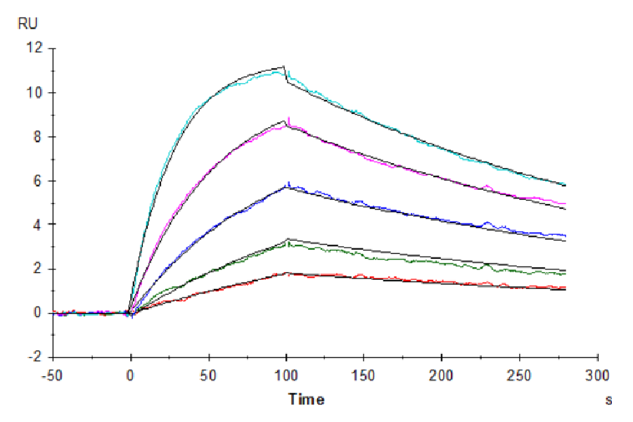 Human IL-18 Protein (IL1-HE018)