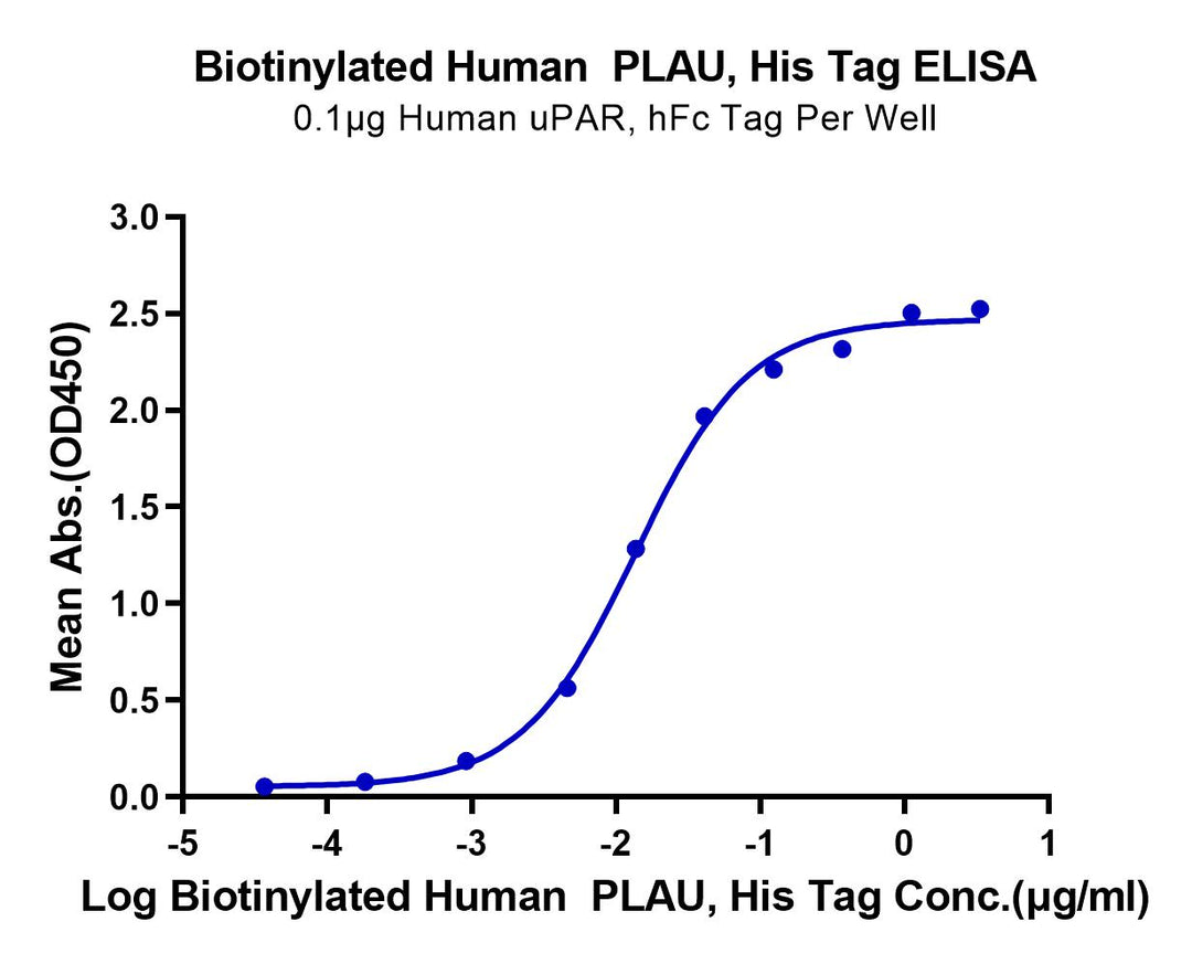 Biotinylated Human PLAU/uPA Protein (active form) (PLA-HM401B)