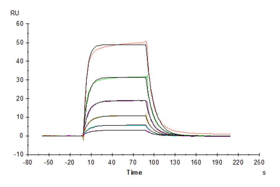 Human IL-3 R alpha/CD123 Protein (IL3-HM1RA)