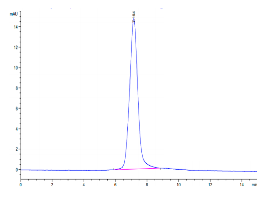 Human Integrin alpha X beta 2 (ITGAX&ITGB2) Heterodimer Protein (ITG-HM1XB)