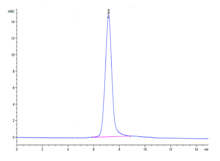 Human Integrin alpha X beta 2 (ITGAX&ITGB2) Heterodimer Protein (ITG-HM1XB)