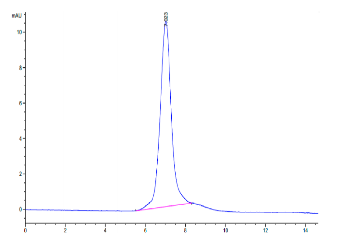 Mouse Integrin alpha 2 beta 1 (ITGA2&ITGB1) Heterodimer Protein (ITG-MM1AB)