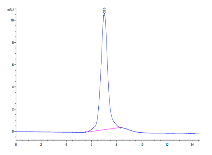 Mouse Integrin alpha 2 beta 1 (ITGA2&ITGB1) Heterodimer Protein (ITG-MM1AB)