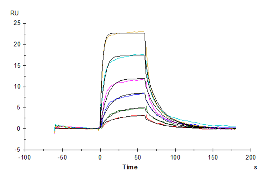 Human IL-7 R alpha/CD127 Protein (IL7-HM1RA)