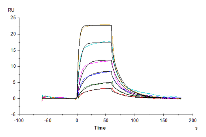 Human IL-7 R alpha/CD127 Protein (IL7-HM1RA)