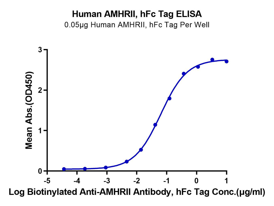 Human AMHRII Protein (AMH-HM2R2)