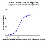 Non-biotinylated Human Integrin alpha 5 beta 1 (ITGA5&ITGB1) Heterodimer Protein (ITG-HM451)