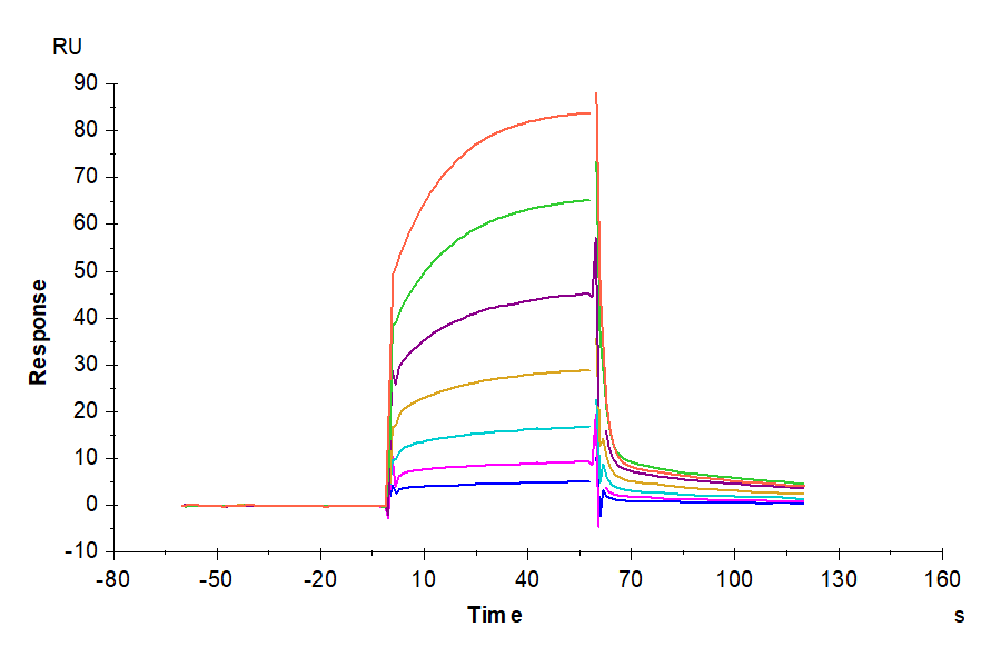 Cynomolgus/Rhesus macaque PD-L1/B7-H1 Protein (PDL-CM110)