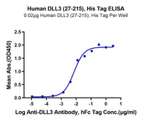 Human DLL3 (27-215) Protein (DLL-HM13D)