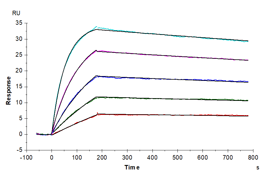 Human IL-10 Protein (IL1-HM010)