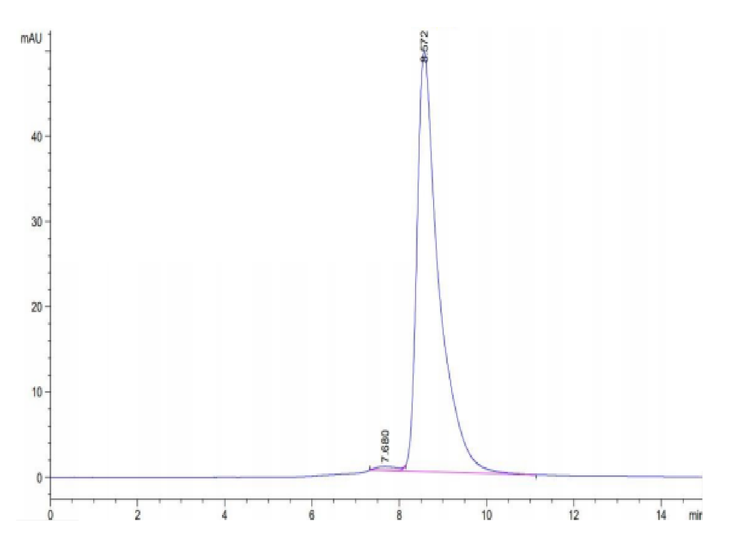 Rhesus macaque HLA-G&B2M&Peptide (RIIPRHLQL) Monomer Protein (HLG-RM41C)