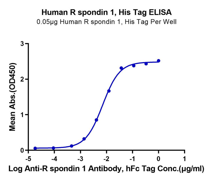 Human R spondin 1/RSPO1 Protein (RS1-HM101)