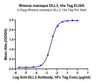 Rhesus macaque DLL3 Protein (DLL-RM103)