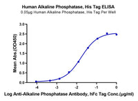 Human Alkaline Phosphatase (Placental type) /ALPP Protein (APE-HM102)