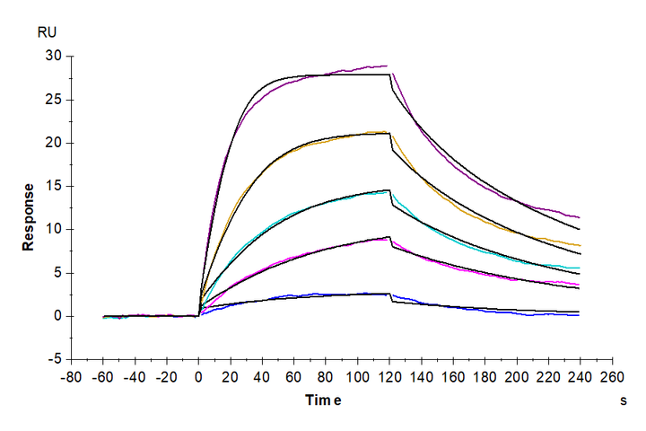 Mouse BCMA/TNFRSF17 Protein (BCM-MM217)